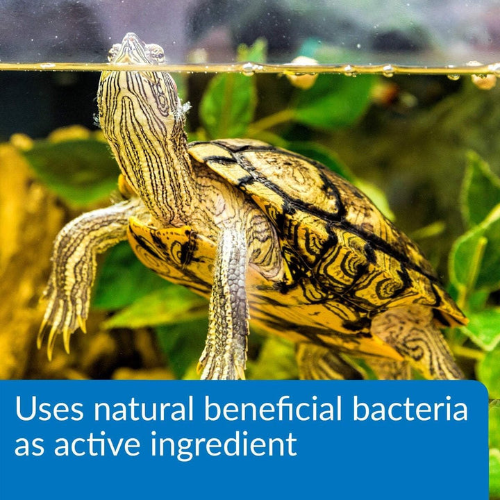 TURTLE SLUDGE DESTROYER Aquarium Cleaner and Sludge Remover Treatment 8-Ounce Bottle