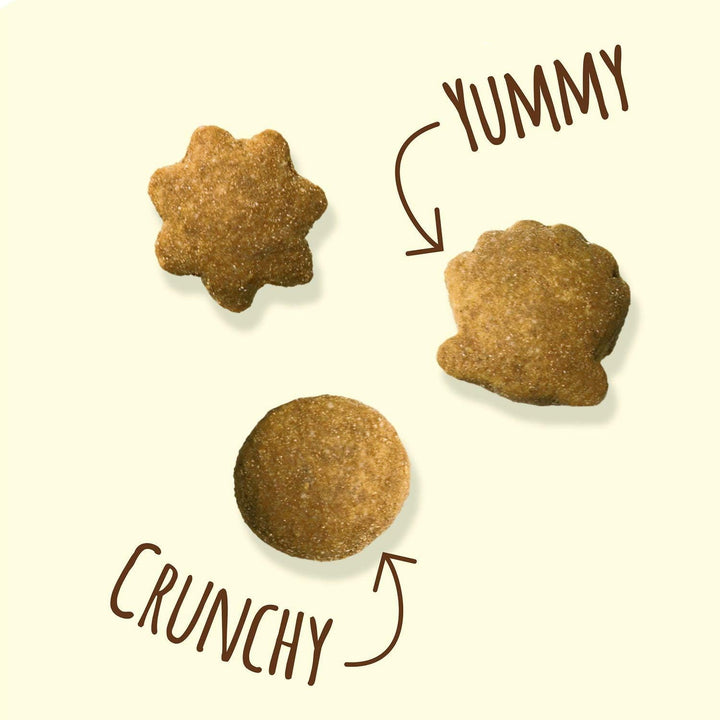 Purina  Natural Cat Treats, Party Mix Natural Yums with Wild Caught Tuna and Added Vitamins, Minerals and Nutrients - 20 Oz. Canister