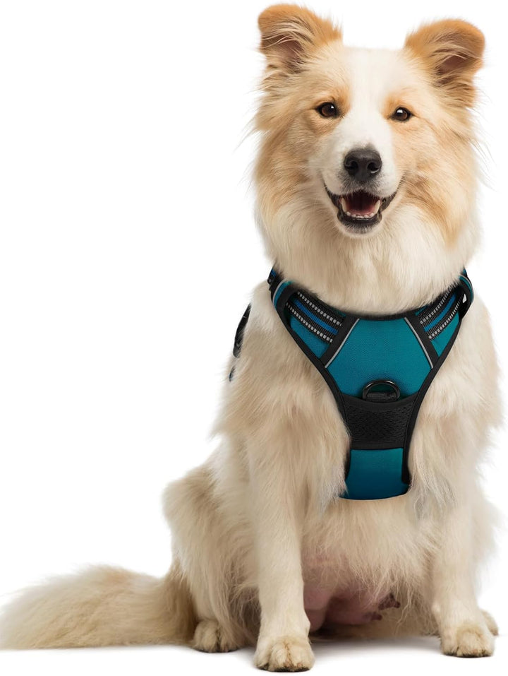 Dog Harness No Pull with 2 Leash Clips, Adjustable Soft Padded, Reflective Oxford No Choke Pet Vest with Easy Control Handle for Large Dogs, Black, L