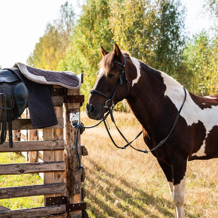 16 Pack Cross Tie Ring for Horse, Block Tie Ring with Screws, Wall Mount Horse Tie Ring, Stainless Steel Hitching Ring Tie down Hooks Horse Barn Supplies for Livestock Stable Stall Racetrack