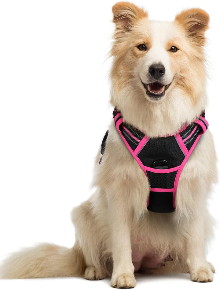 Dog Harness No Pull with 2 Leash Clips, Adjustable Soft Padded, Reflective Oxford No Choke Pet Vest with Easy Control Handle for Large Dogs, Black, L