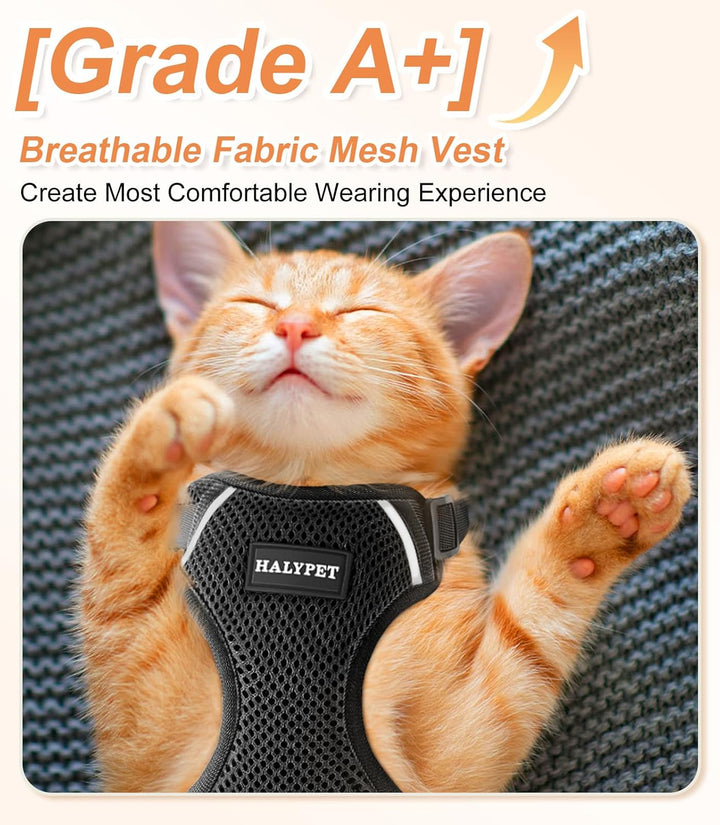 Cat Harness and Leash Set [ MAX Safety Third Generation ] Escape Proof Soft Adjustable Cat Leash Breathable Comfortable Vest Easy to Wear Kitten Harness for Outdoor Walking Black