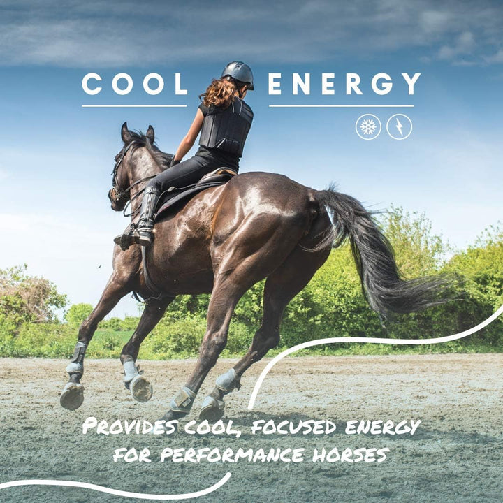 Cool Calories 100 – Equine Fat Supplement for Horses, Supports Healthy Weight Gain, Muscle Maintenance & Shiny Coat, Concentrated Dry Fat Calorie Booster, Low-Starch Formula, 8 Lb Bag