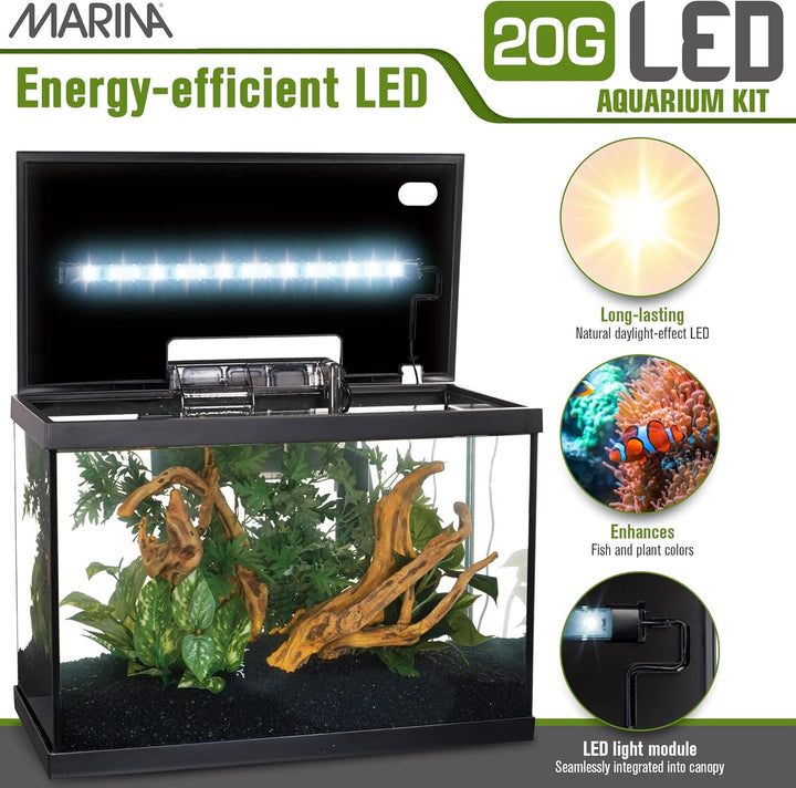 Aquarium Kit - 20 Gallon Fish Tank - LED