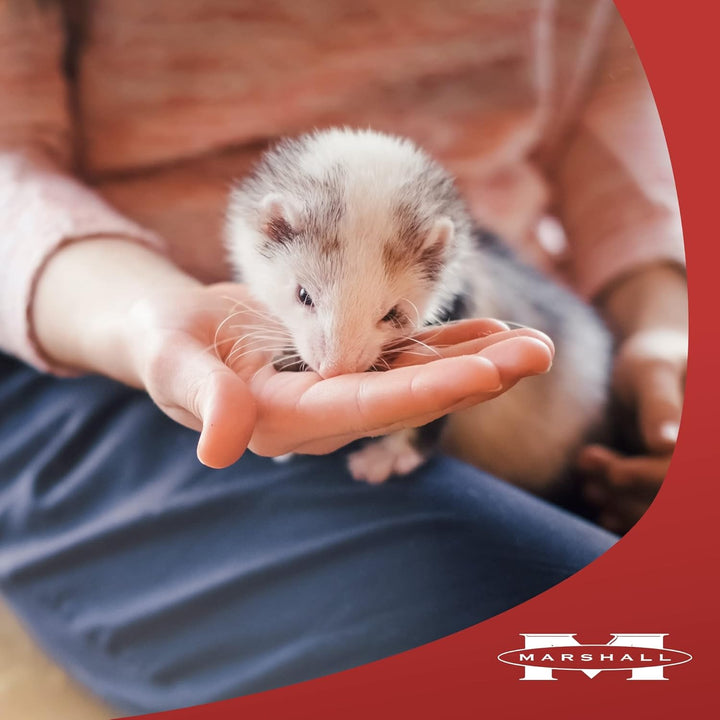 Marshall Furo-Vite Vitamin Supplement Paste – 3 Oz – Supports Energy, Immune Health & Overall Well-Being – Nutrient-Rich Formula for Ferrets & Small Animals