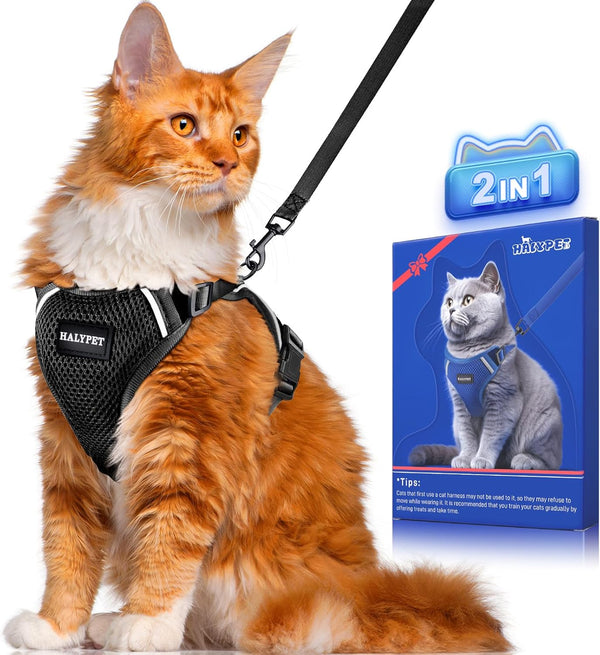 Cat Harness and Leash Set [ MAX Safety Third Generation ] Escape Proof Soft Adjustable Cat Leash Breathable Comfortable Vest Easy to Wear Kitten Harness for Outdoor Walking Black