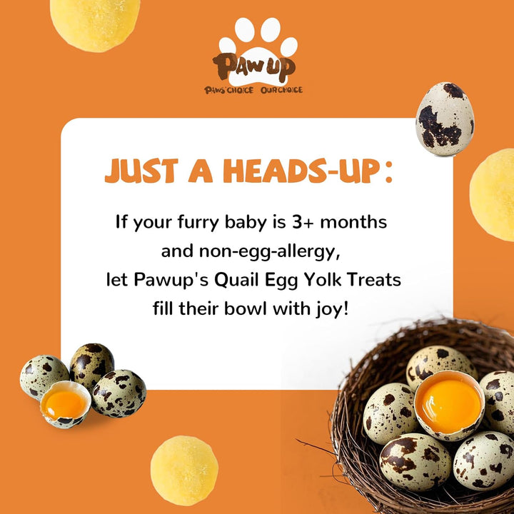 Freeze Dried Quail Egg Yolk Pet Treats, Freeze-Dried Pet Food for Dogs, Cats, Pure Fresh Ingredient, 4.2 Oz, Rawhide Free, Gluten&Grain Free