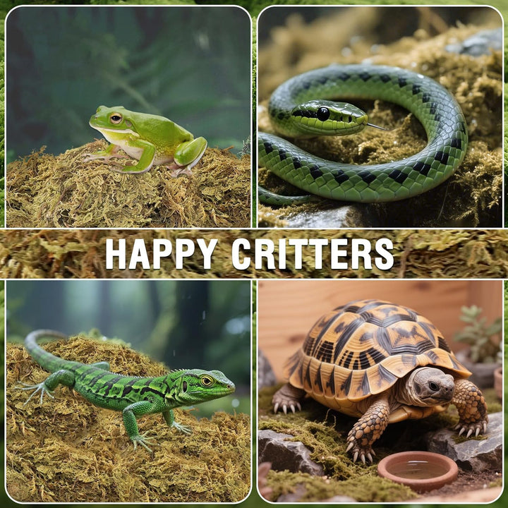 Natural Peat Moss Reptile Moss, Reptile Moss, Ideal Reptile Moss for Box Turtles, Hermit Crabs, Leopard Geckos, Snakes and Enclosures 7 OZ