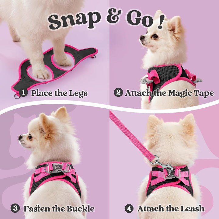Dog Harness Small Sized and Leash Set, Step-In Breathable Pet Harness, Soft Walking Reflective Puppy Vest for Small Dogs, Black & Rose Red, S