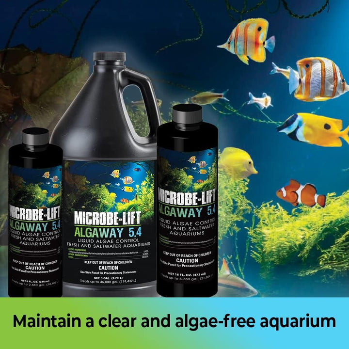 ALGAA08 ALGAWAY 5.4 Algae Control for Fresh and Salt Water Home Aquariums, 8 Ounces