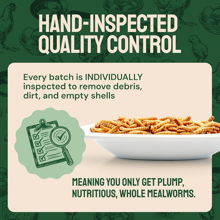 Chicken Feed Dried Mealworms - 5 Lb, Non-Gmo & Organic - High-Protein Mealworms for Wild Birds & Ducks, Chicken Treats & Bird Food