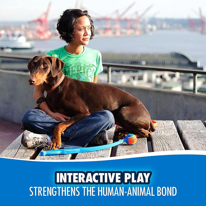 Fetch & Fold 25M Dog Ball Launcher, 25" Length, Includes Medium Ball (2.5") for Dogs 20-60 Pounds