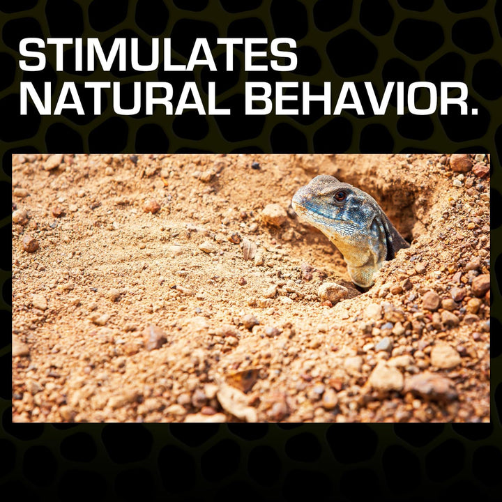 Desert Sand, 10-Pound, Red for All Breed Sizes