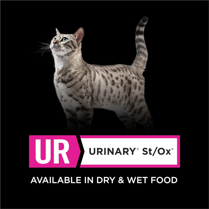 Purina  UR Urinary St/Ox Feline Formula Dry Cat Food - 6 Lb. Bag