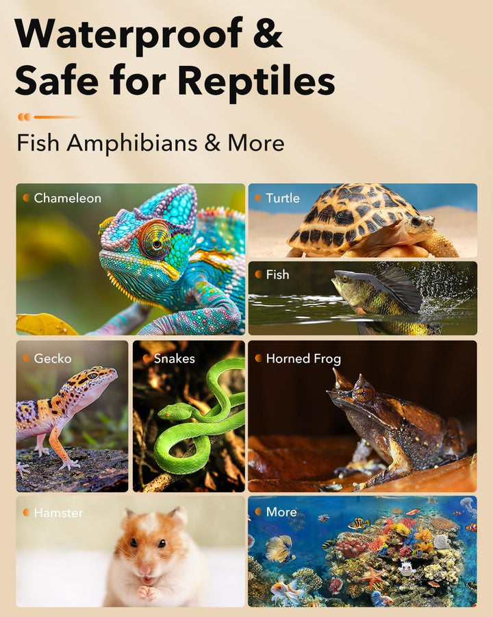 Reptile Heat Pad 6"X8" 8W for 10-20Gal under Tank Terrarium Heating Mat Waterproof for Turtle, Lizard, Frogs, Snake, Hermit Crab