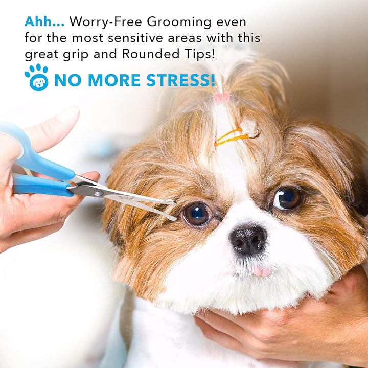 Dog Grooming Scissors for Dogs at Home (2 Pc) - Razor Sharp Stainless Steel Dog Scissors for Grooming - Professional Pet Scissor Set for Dogs & Cats - Best Pet Shears with Rounded Safety Tips