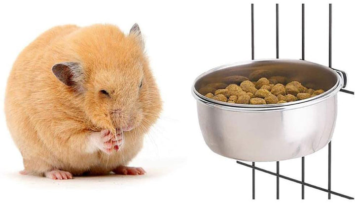 Bird Feeding Dish Cups Parrot Food Bowl Clamp Holder Coop Cup, 2PCS Bird Cage Water Bowl for Parakeet African Greys Conure Cockatiels Lovebird Budgie Chinchilla