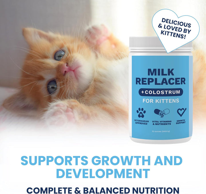 Kitten Milk Replacer Powder + Colostrum | Kitten Milk Replacement Formula | Nutrient-Rich Formula with Colostrum for Immune & Digestive Support – 12 Oz