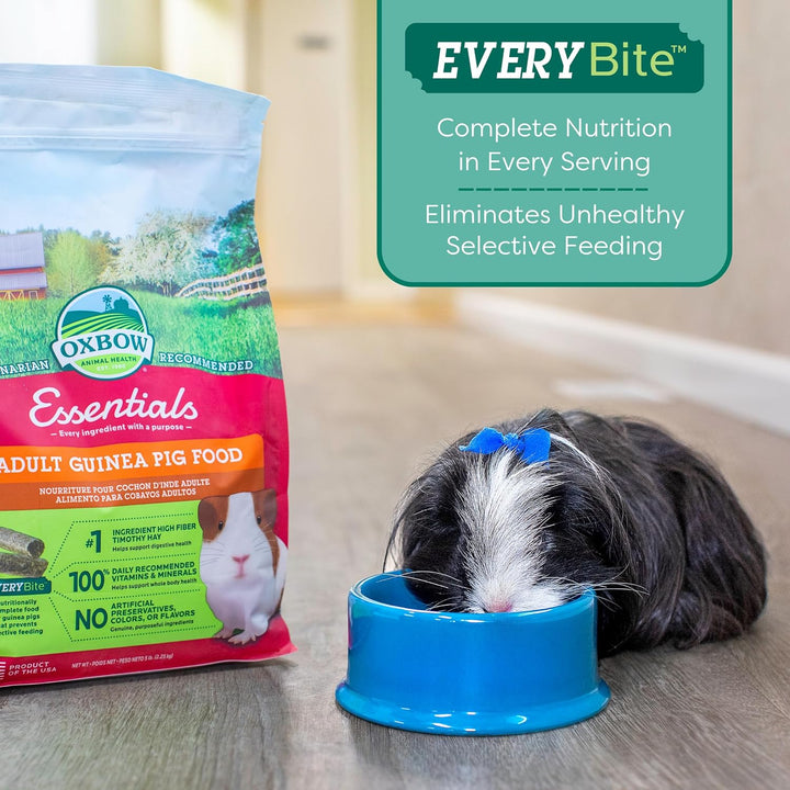 Essentials Guinea Pig Food, Adult Guinea Pig, Made with  Timothy Hay, Pet Food Pellets with Vitamin C, Small Animal Pet Products, Made in USA, High Fiber, 5 Lb. Bag