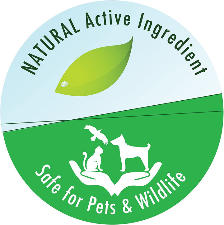 POND MELAFIX Pond Fish Infection Remedy 64-Ounce Bottle, Black (176C)