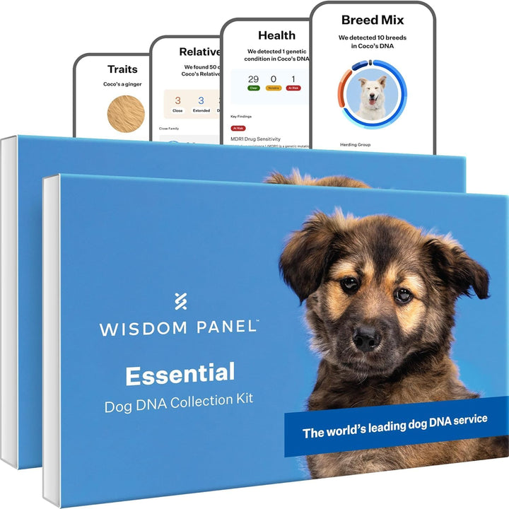 Health Essential Dog DNA Kit | Most Accurate Test | 365+ Breeds | 30 Genetic Health Conditions | 50+ Traits, Relatives, Ancestry | Pack of 1