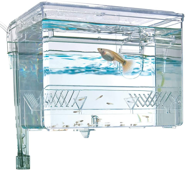Fluval Multi-Chamber Holding and Breeding Box, Medium