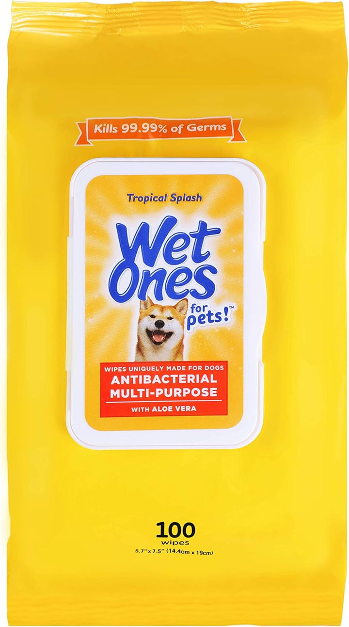 for Pets Multi-Purpose Dog Wipes with Aloe Vera | Dog Wipes for All Dogs in Tropical Splash,  Wipes for Paws & All Purpose | 50 Ct Cannister Dog Wipes