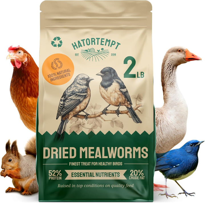 Chicken Feed Dried Mealworms - 5 Lb, Non-Gmo & Organic - High-Protein Mealworms for Wild Birds & Ducks, Chicken Treats & Bird Food