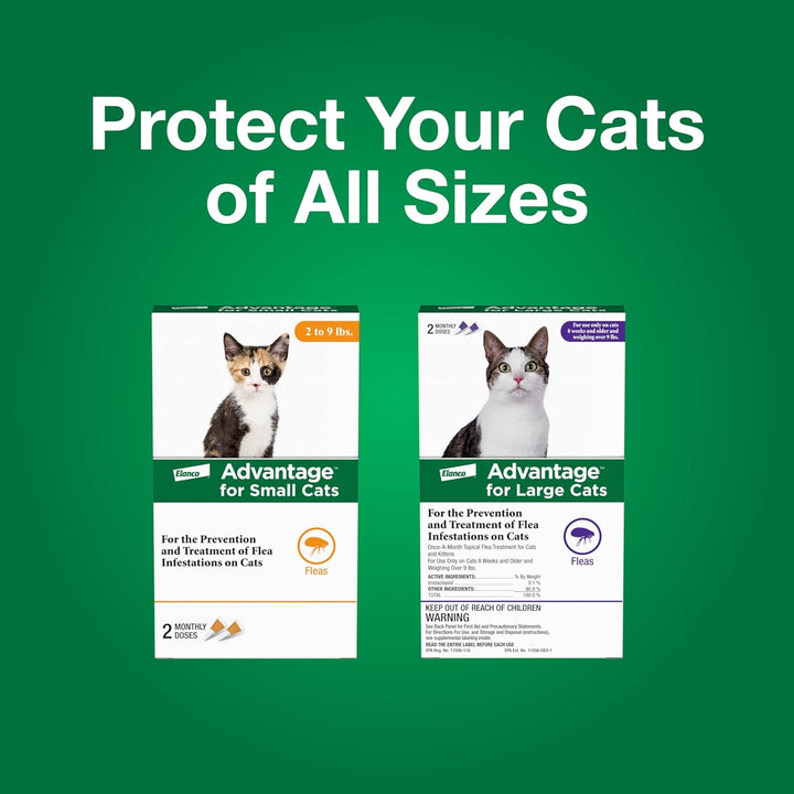 Topical Cat Flea Treatment and Prevention for Small Cats 2-9 Lbs. | Apply Flea Drops Monthly | 2 Treatments