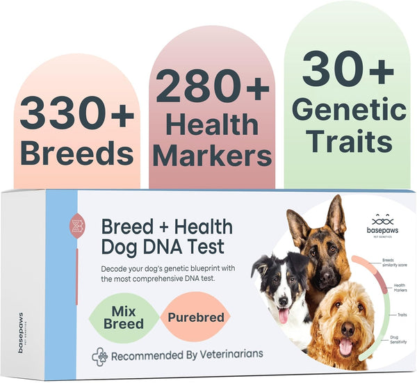 Dog DNA Testing Kit - 300+ Breeds, 280+ Health Risks, and 30+ Traits - Comprehensive Mixed Breed Identification, Pet DNA Test Kit, Canine Genetic Ancestry and Heritage