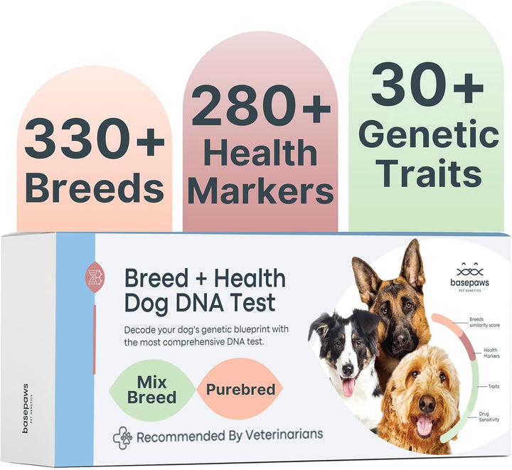 Dog DNA Testing Kit - 300+ Breeds, 280+ Health Risks, and 30+ Traits - Comprehensive Mixed Breed Identification, Pet DNA Test Kit, Canine Genetic Ancestry and Heritage