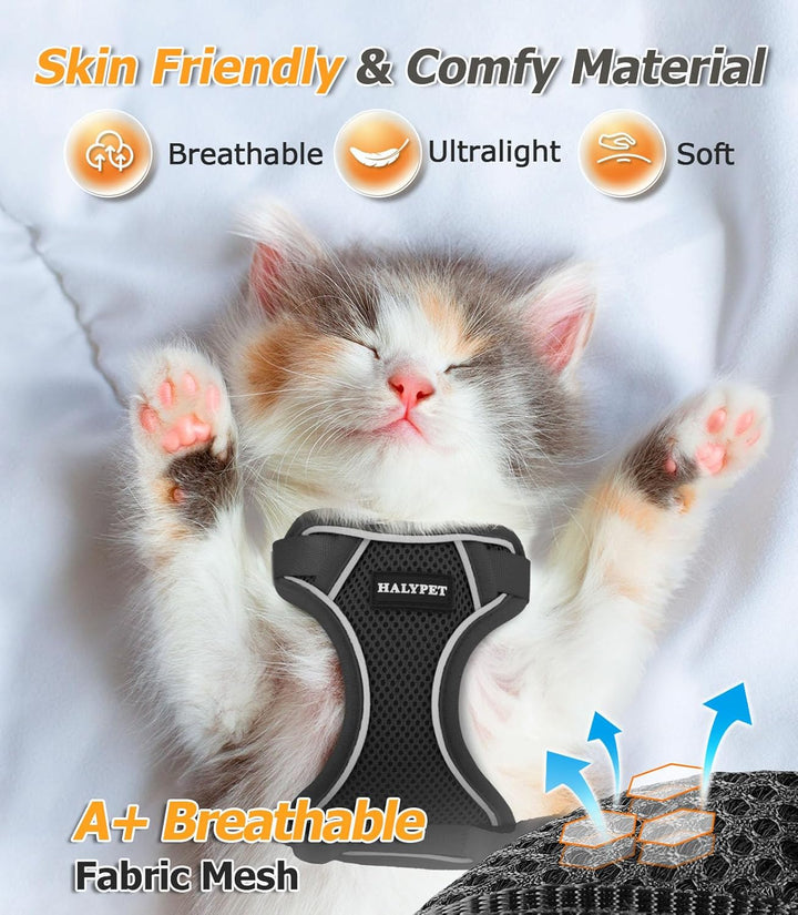Cat Harness and Leash Set - MAX Safety 4Th-Gen Upgrade, Escape Proof, Adjustable, Comfortable Soft Vest, Easy to Wear Kitten Harness with Reflective Strip for Cats Walking - Small Black