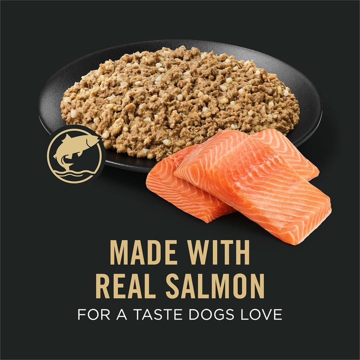 Sensitive Skin and Stomach Dog Food Wet Classic Pate Salmon and Rice Entrée - (Pack of 12) 13 Oz. Cans