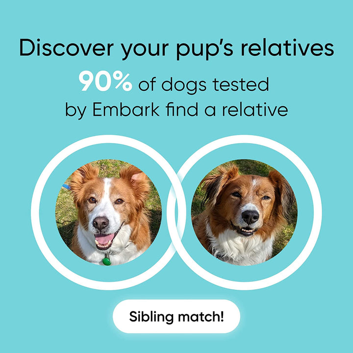 Purebred Kit - Dog DNA Test - Health, Traits, Genetic Diversity Score (COI), Breed Confirmation