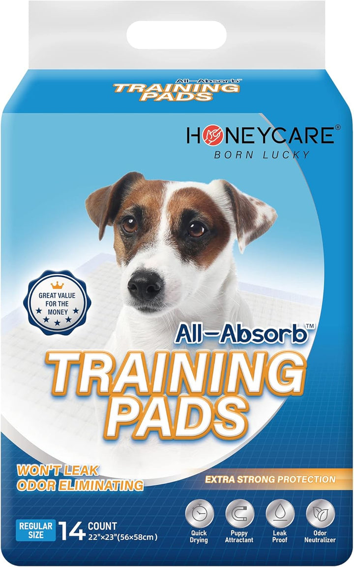 All-Absorb, Small 17.5" X 23.5", 120 Count, Dog and Puppy Training Pads, Ultra Absorbent and Odor Eliminating, Leak-Proof 5-Layer Potty Training Pads with Quick-Dry Surface, Blue, A05
