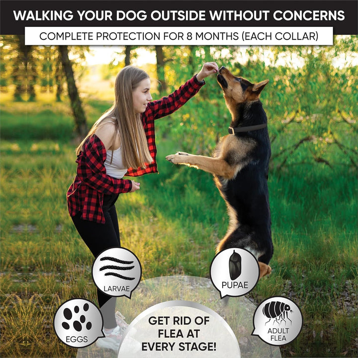 4 Pack Flea and Tick Collar for Dogs, 8-Month Protection, Flea Tick Collar for Dogs, Black