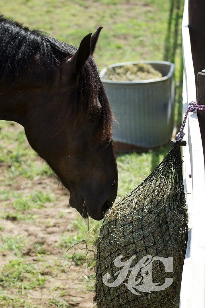 Hay Net for Horses | Slow Feed Hay Bag Feeder | Marine-Grade UV Treated Nylon | Holds 4-6 Flakes | Half Bale Net | 1 3/4" Holes | Oat Rope Color