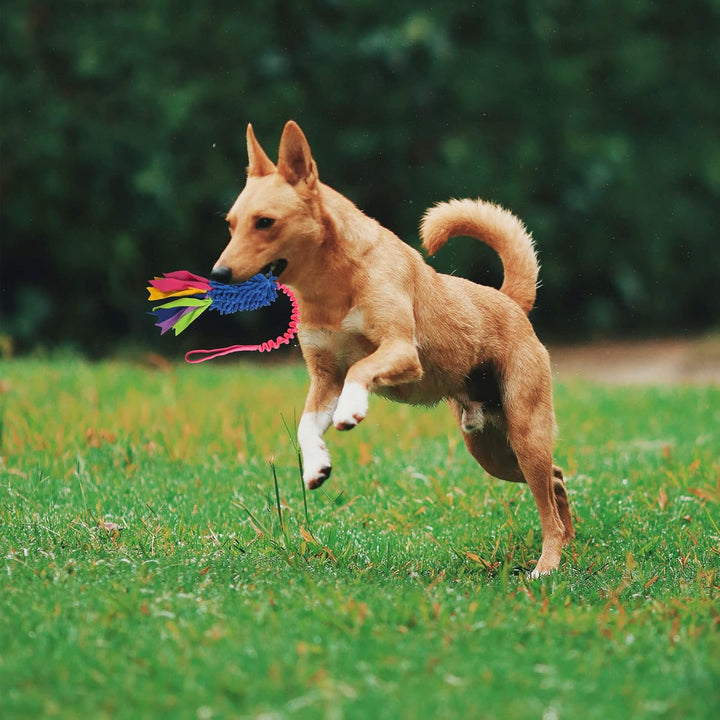 Dog Tug Toy, Dog Toys for Aggressive Chewers - Strong Squeak Rope Toy, Easy to GRAP Chew Toy for Large Dogs, Puppies, Middle Dogs - Ideal for Training and Play, Hand Made