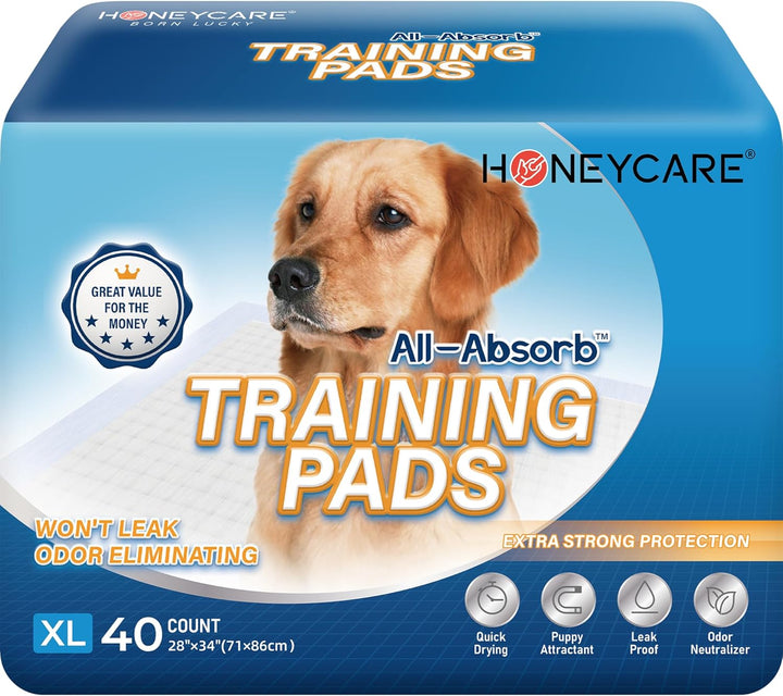 All-Absorb, Small 17.5" X 23.5", 120 Count, Dog and Puppy Training Pads, Ultra Absorbent and Odor Eliminating, Leak-Proof 5-Layer Potty Training Pads with Quick-Dry Surface, Blue, A05