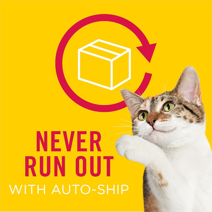 Purina  Gravy Wet Cat Food Variety Pack, Shreds with Beef, with Chicken, and Turkey and Cheese Dinner - (Pack of 24) 5.5 Oz. Cans