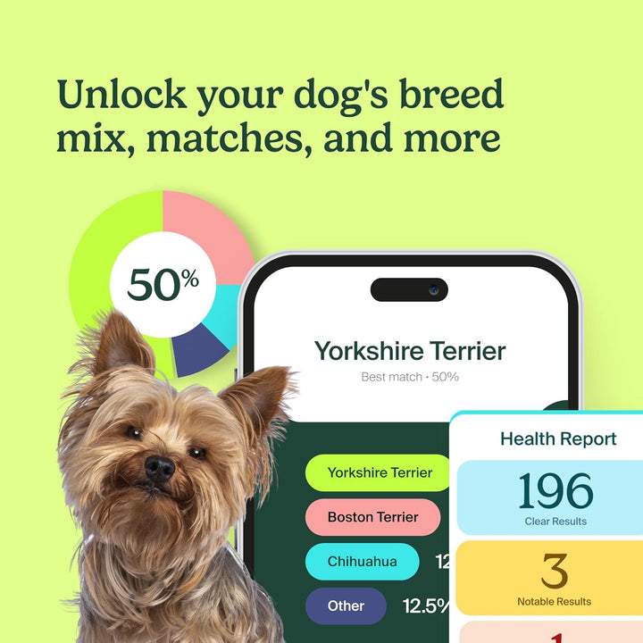 Ancestry Dog DNA Test: At-Home Testing, Breed Identification & Trait Insights, Canine Genetics Analysis, Unique Pet Parent Gift, New Puppy Essentials
