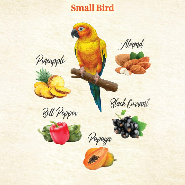 Food from the Wild Natural Snack Food Treats for Pet Birds, 3 Oz