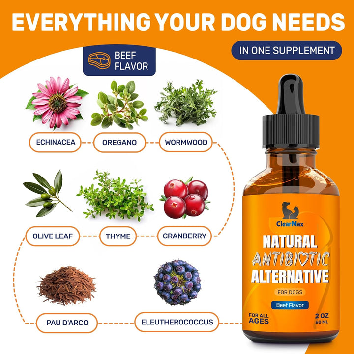 Natural Antibiotics for Dogs for Allergies, Infections, Coughs, Digestive Moments – Dog Antibiotics with Beef Flavor May Support Urination and Breathing – Organic Composition with Cranberry – 2 Oz