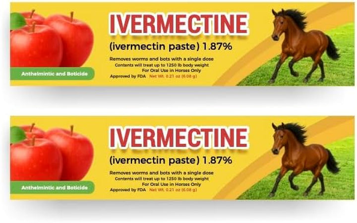 Horse Paste Gel 1.87% – Apple Flavored Oral Syringes – 6.08G Each (2-Pack) – Adjustable Weight Markings – for Equine Use