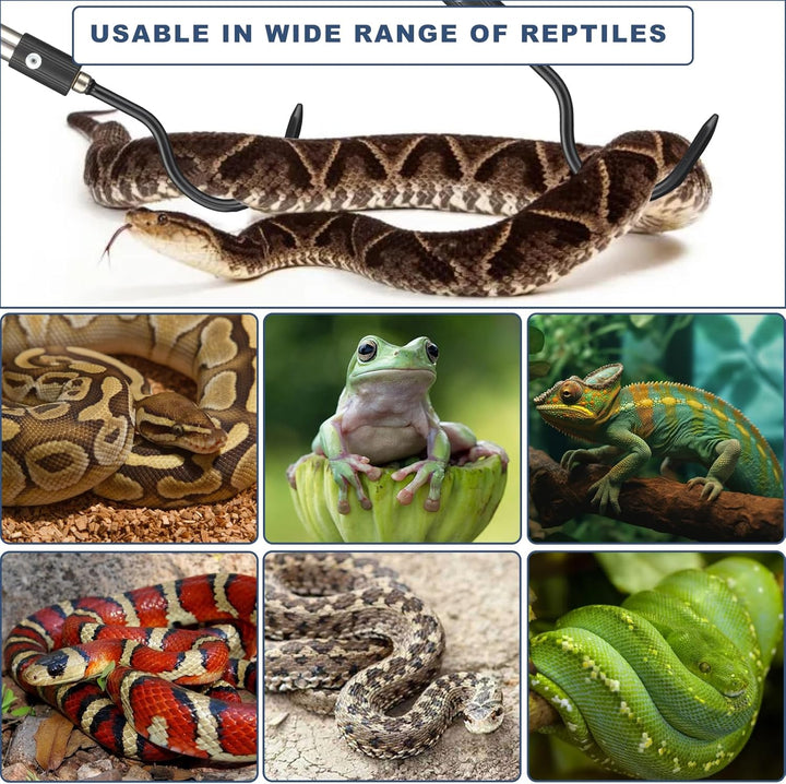 Snake Hook Heavy Duty, 35"-65" Snake Reptile Hook Rubber Tip for Rattlesnakes Ball Python Rattle Cobra Removal Non Slip Foam Handle Stainless Steel