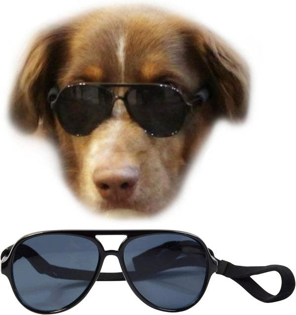 G010 Dog Pet Costume Aviator Sunglasses for Medium Breeds 20-40 Lbs (Black)