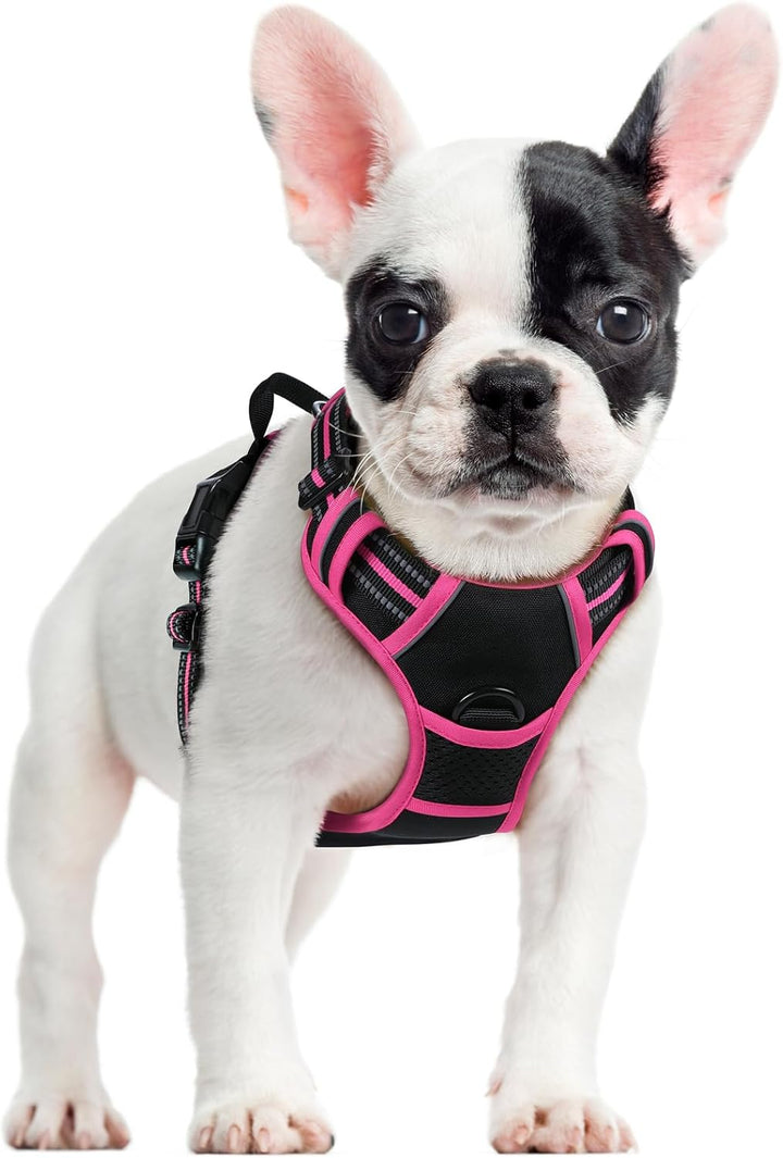Dog Harness No Pull with 2 Leash Clips, Adjustable Soft Padded, Reflective Oxford No Choke Pet Vest with Easy Control Handle for Large Dogs, Black, L