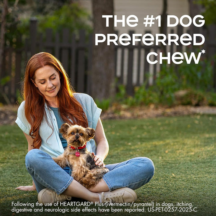 ® plus (Ivermectin/Pyrantel) Real-Beef Chewables for Dogs up to 25 Lbs (Blue Box) 6 Month Supply of Chews (Heartworm Disease Preventive)