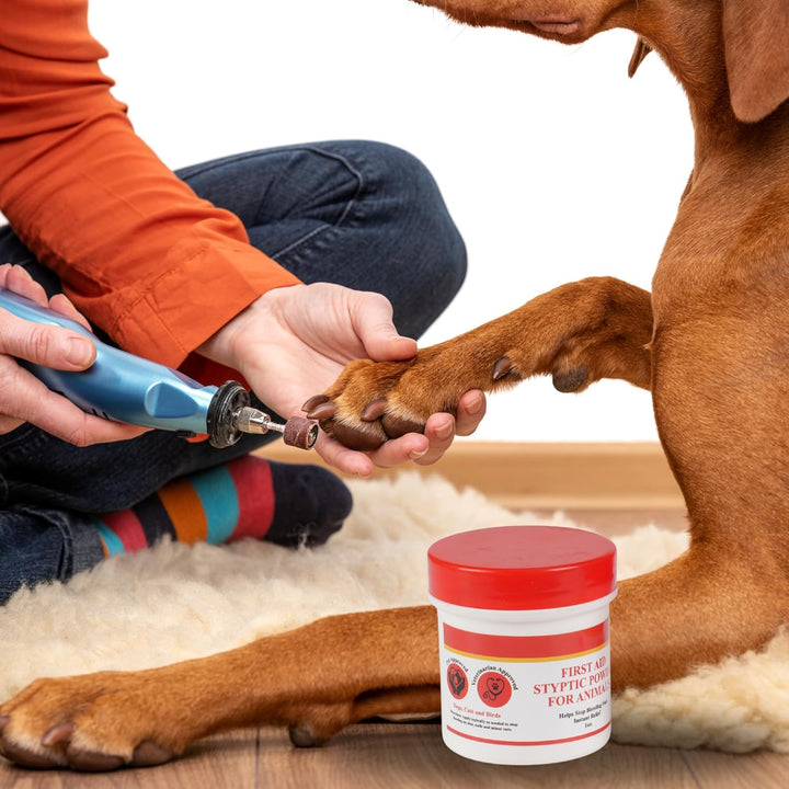Styptic Powder for Animals – Fast-Acting Blood Stop for Dogs, Cats, Birds & Small Pets – First Aid Powder for Nail Bleeding, Minor Cuts & Grooming – 1 Oz, Pack of 1