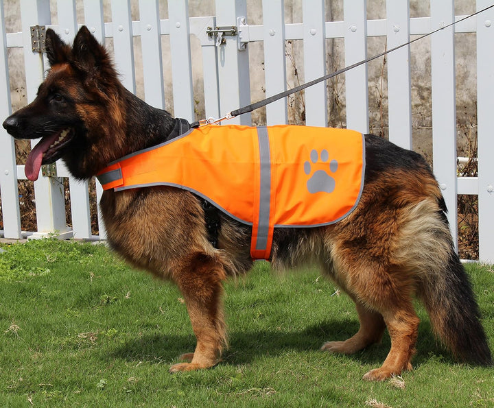 Dog Reflective Vest High Visibility Safety Jacket for Walking Running Hiking to Keep Dogs Visible Safe from Cars and Hunting Accidents Orange XL